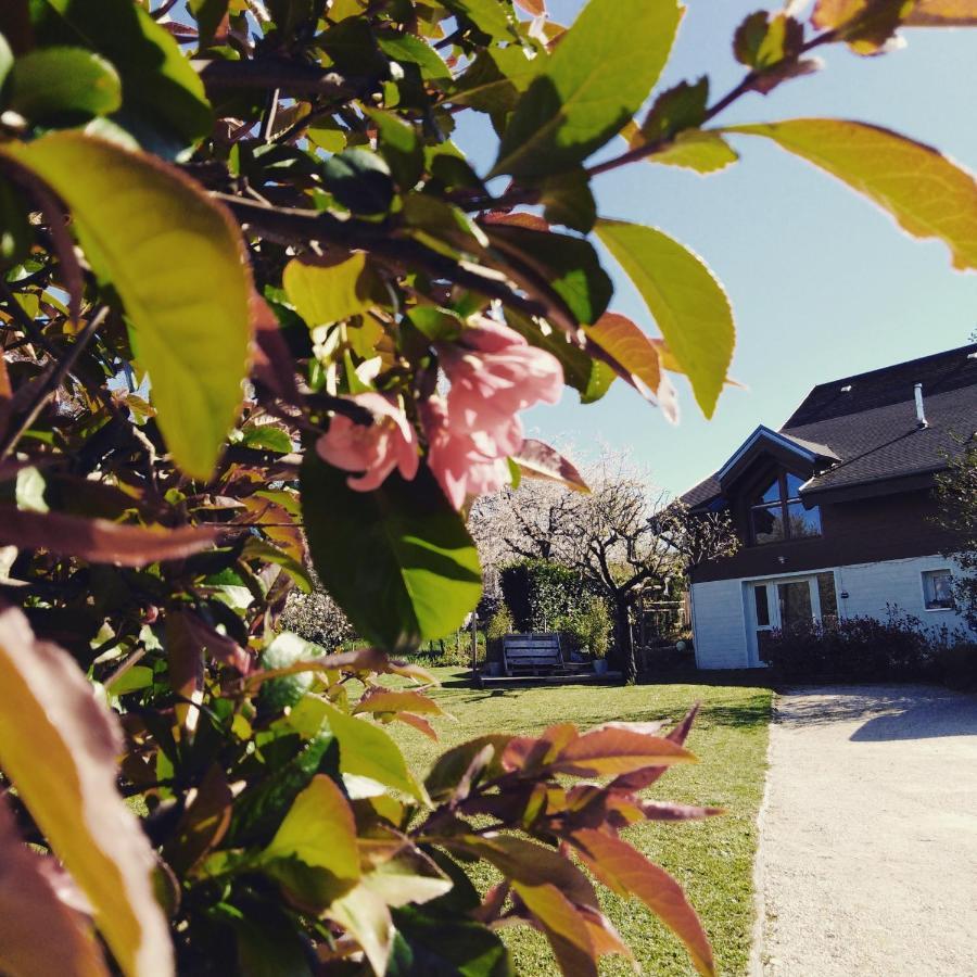 Chalet La Bachole Charancieu Екстериор снимка