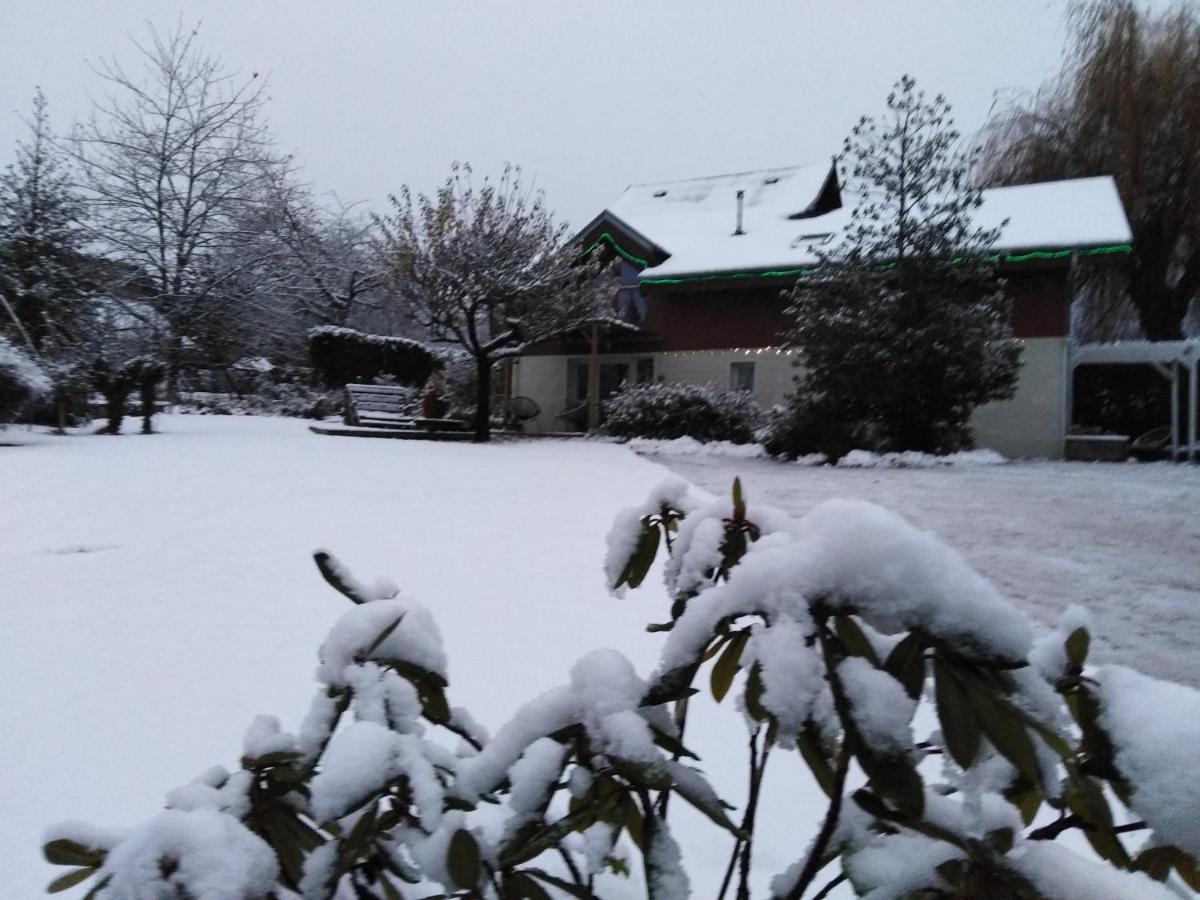 Chalet La Bachole Charancieu Екстериор снимка
